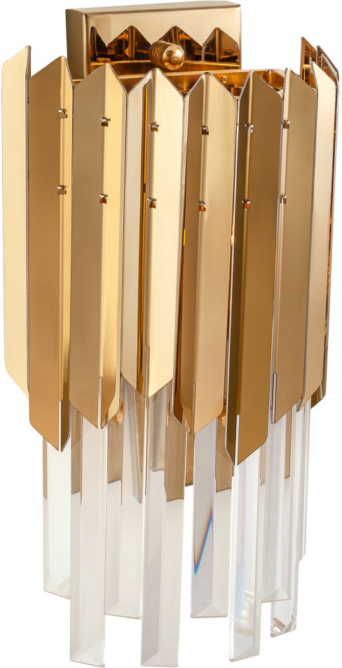 Roberto Cavalli AP2_