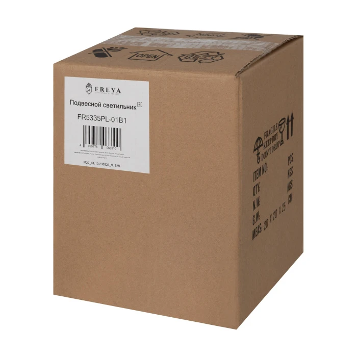 FR5335PL-01B1