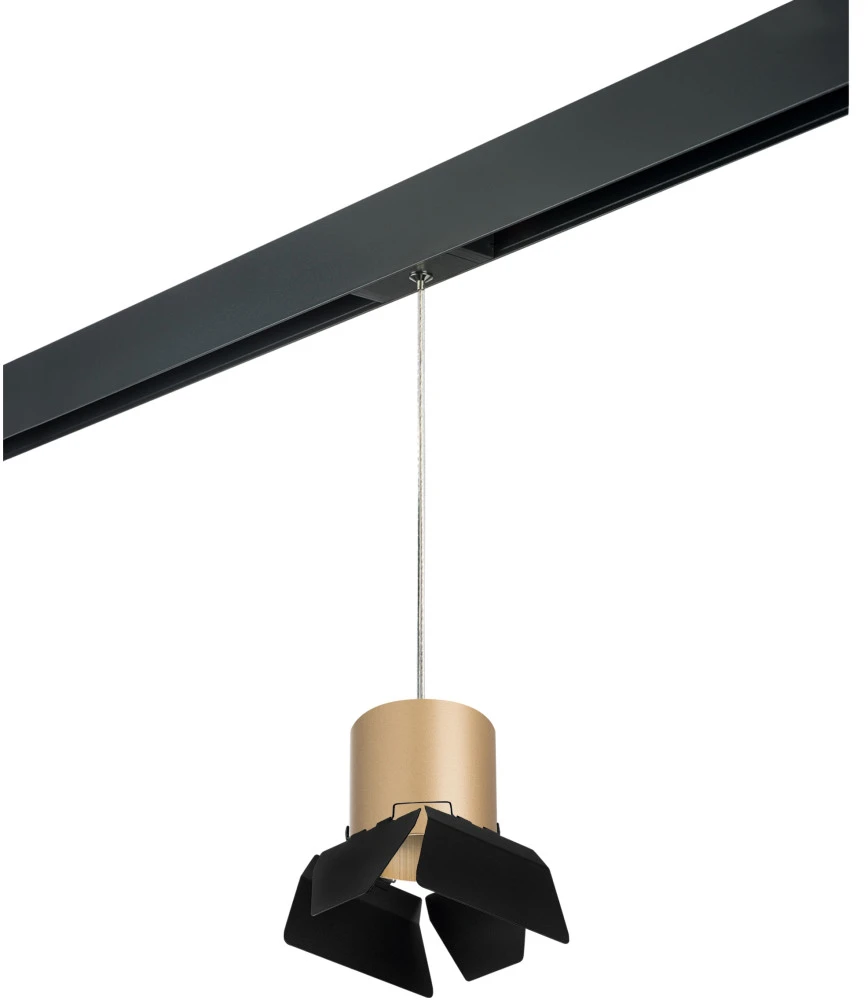 PRORP3490487 Lightstar