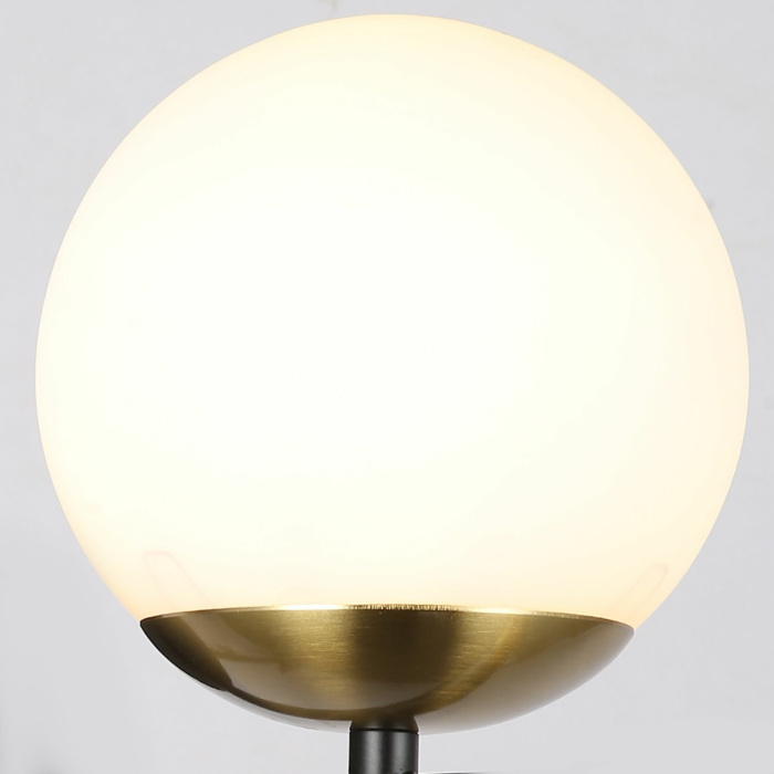 IL0059-1W-79 BK COP_