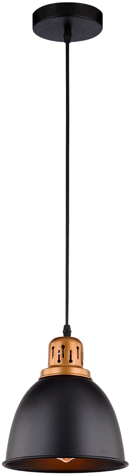 A4245SP-1BK Arte Lamp