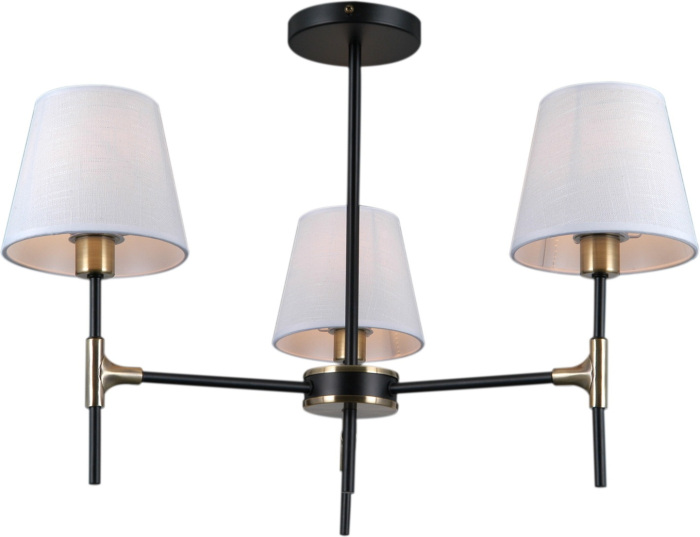 IL0185-3CSQ-24 BK AB CASTOR_