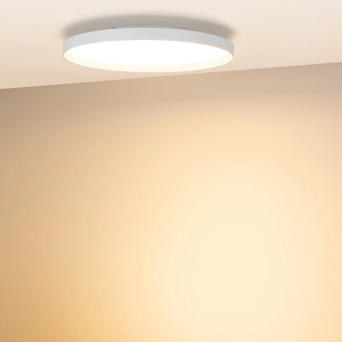 054800 Arlight