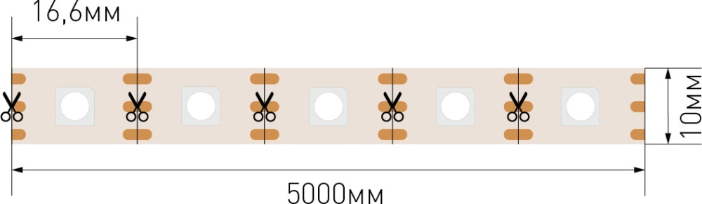 SWG5PT60-24-12-WS2811RGB_