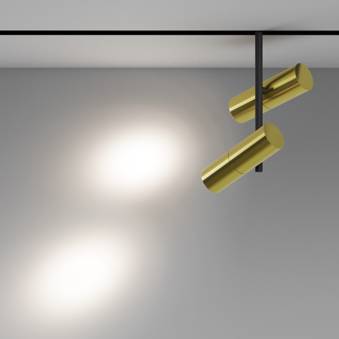 TR005-2-2X12W4K-BBS_