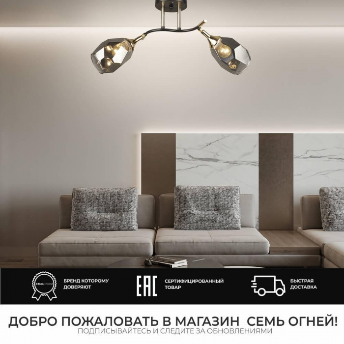 SF3329/2C-CF-FGD-SMK_