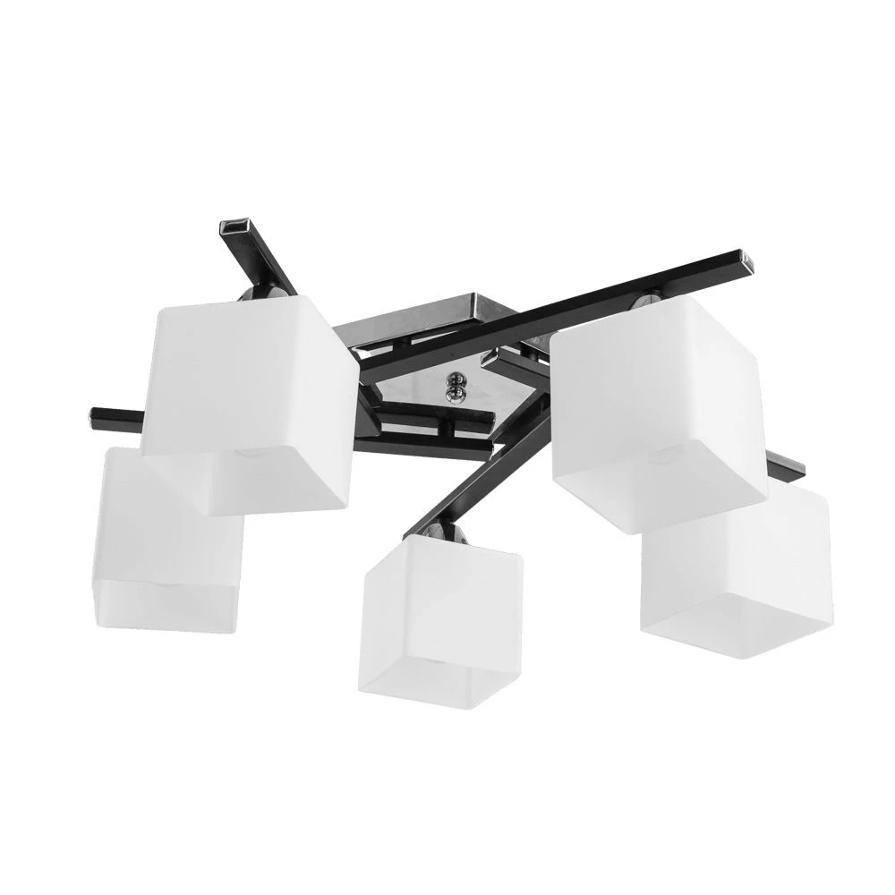 A8165PL-5BK Arte Lamp