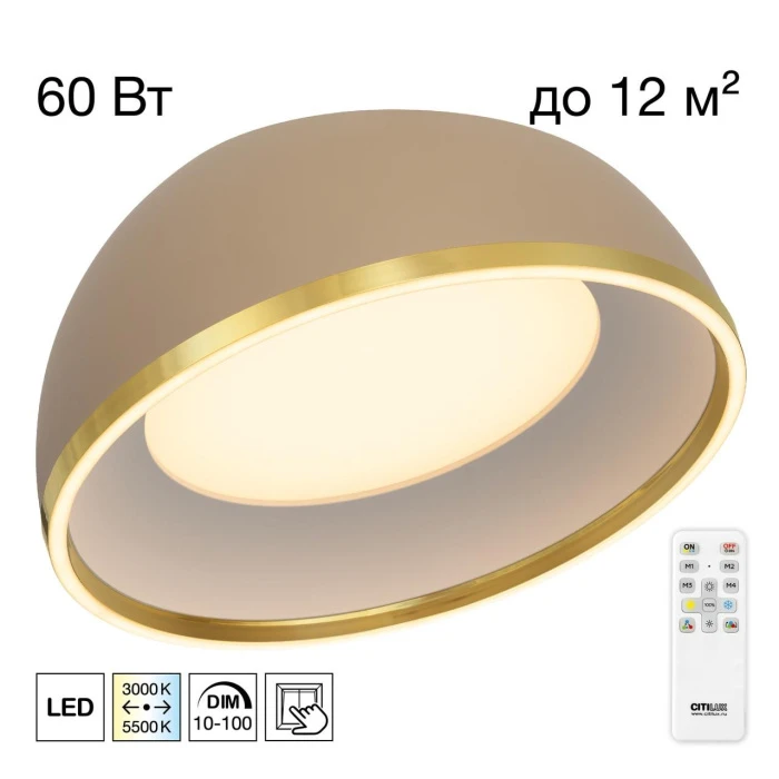 CL736152 Citilux