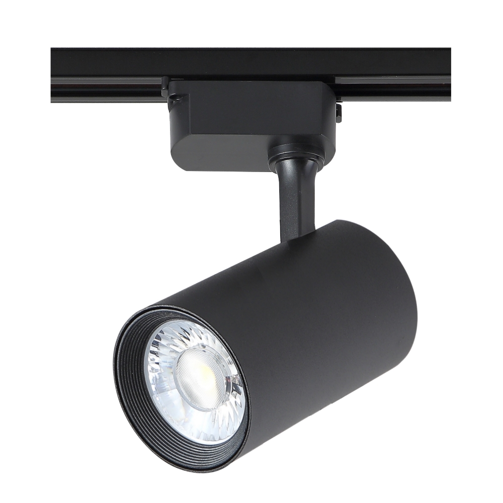 CLT 0.31 006 30W BL_