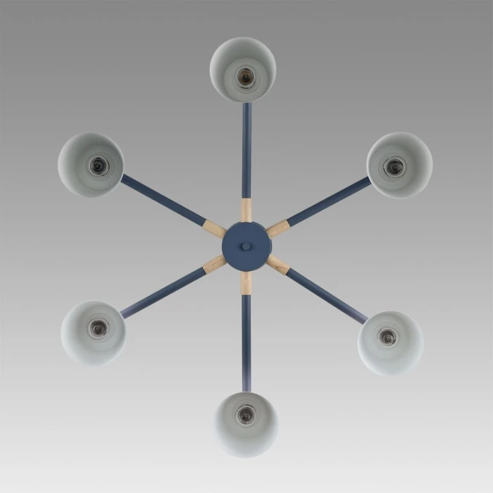 8098/6C Lumion