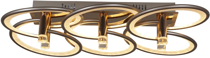 09253-0.3-6S Champaign silver_