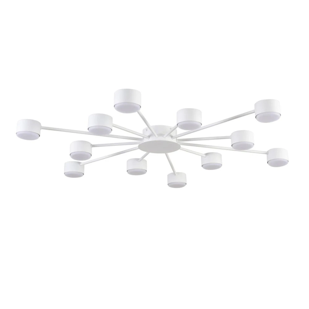 8343/12C Lumion
