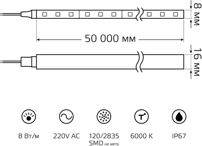 311000308 