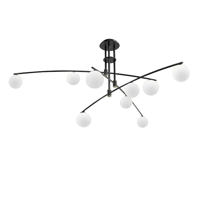 8119P/9 black Delight Collection