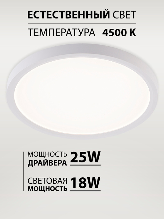 LED LAMPS 81113/2C_