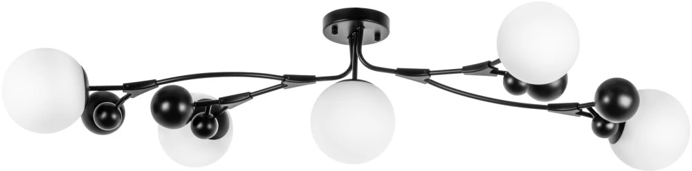 815557 Lightstar