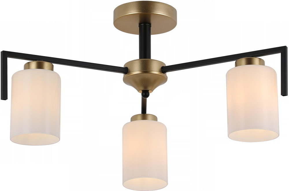 IL8250-3COU-79 BK GD Dora_