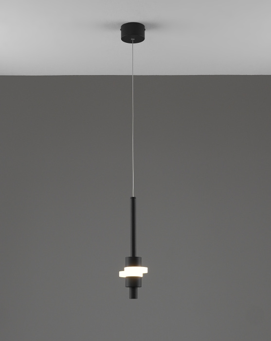V11641-PL