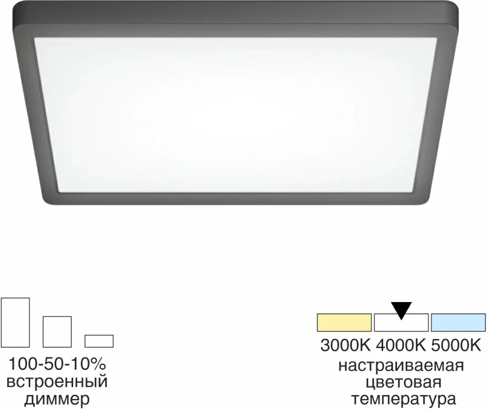 CL738K241V Citilux