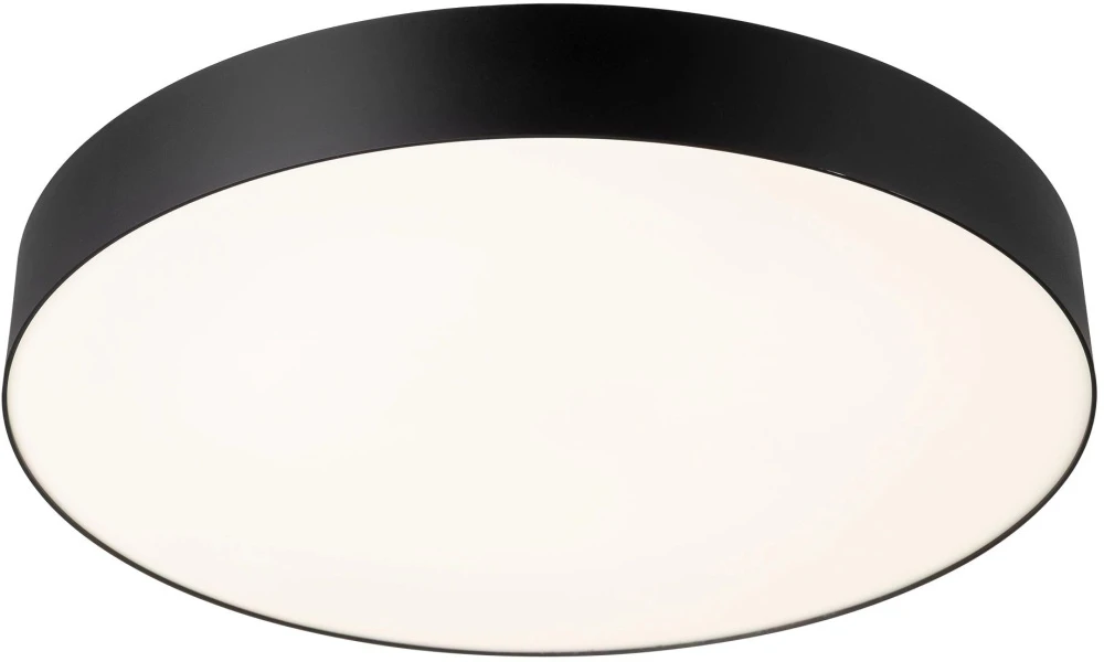 CL755491 Citilux