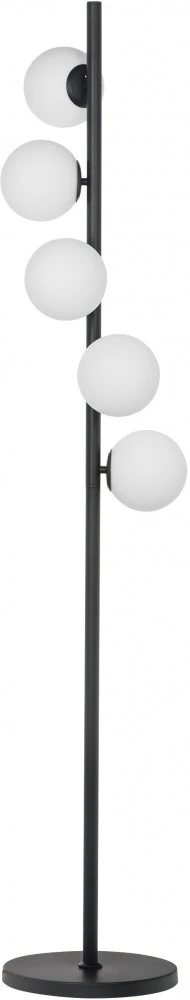 815757 Lightstar