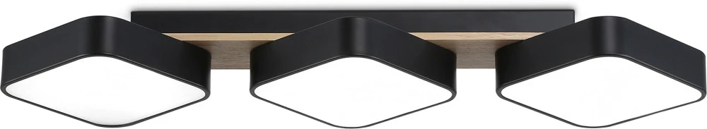FL4878 Ambrella