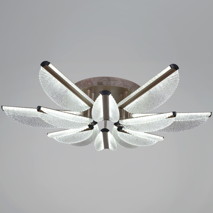 00490-0.3-6+6 champagne silver_