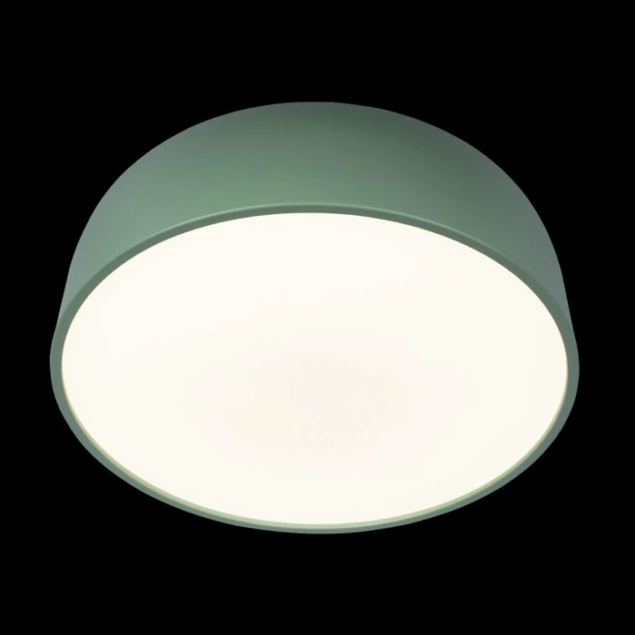 10201/480 Green Loft It