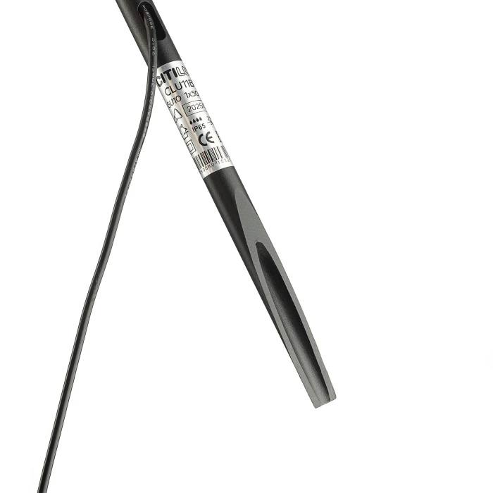 CLU11B1 Citilux