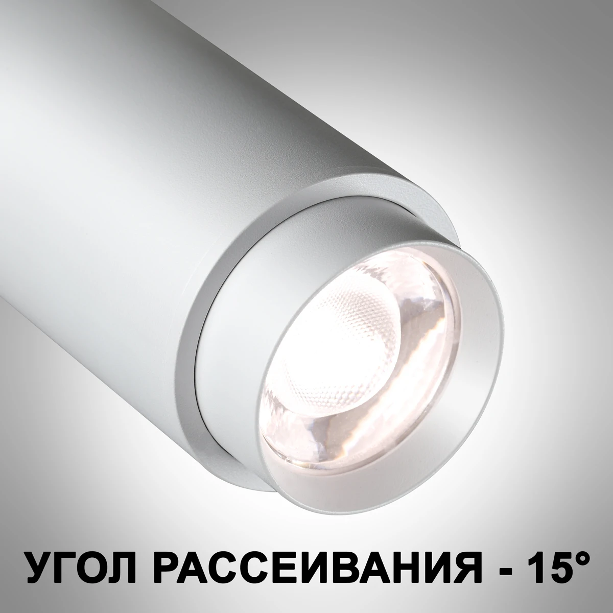359028 Novotech