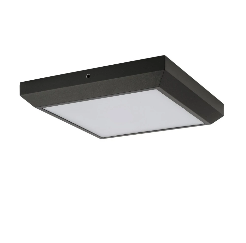 W1021 Gr Oasis Light
