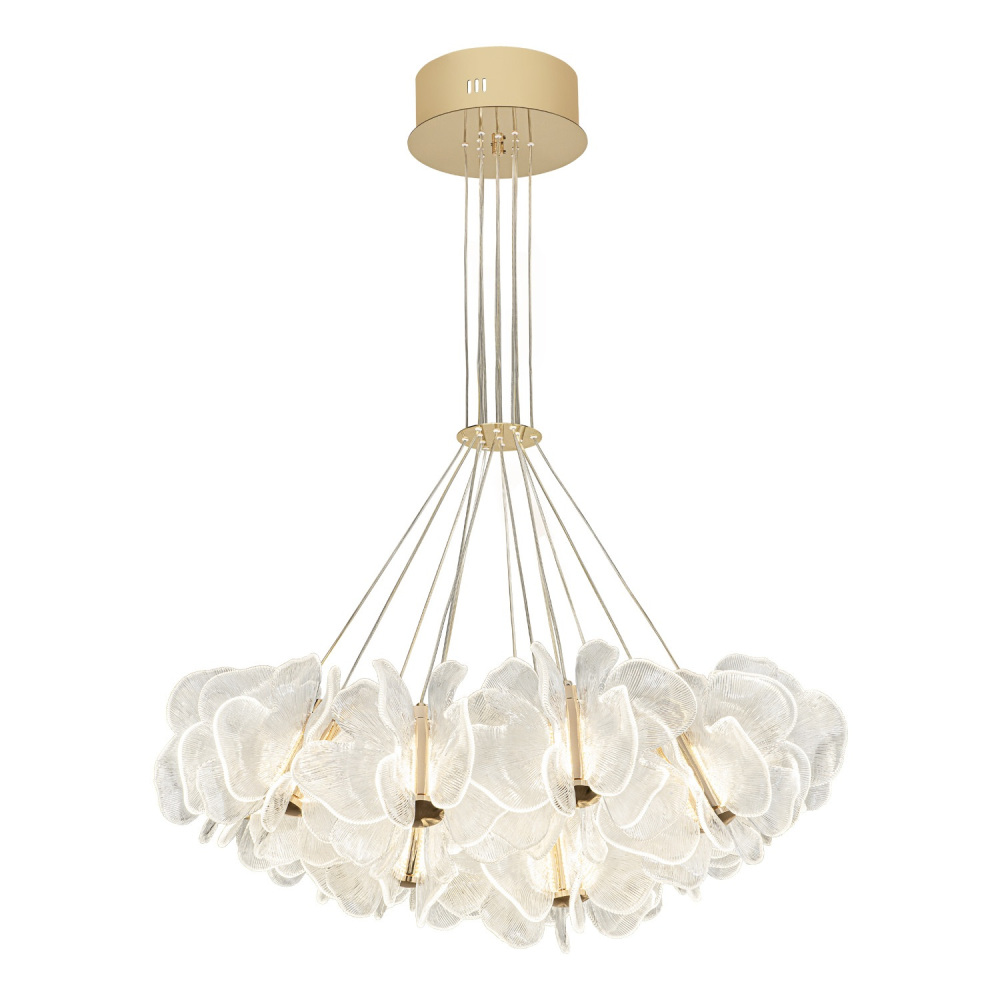 ML.6222.900 CP Modelux