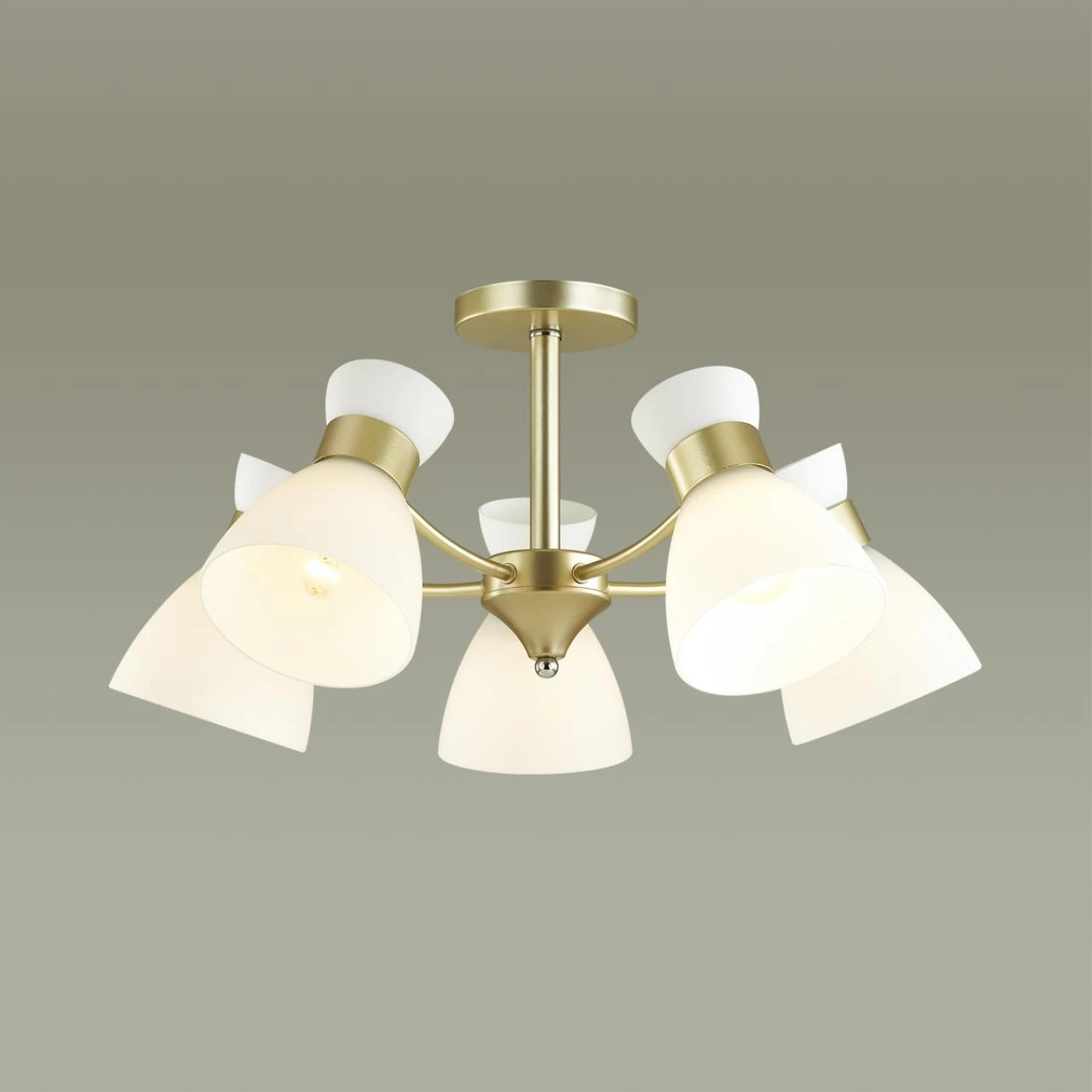 4535/5C Lumion