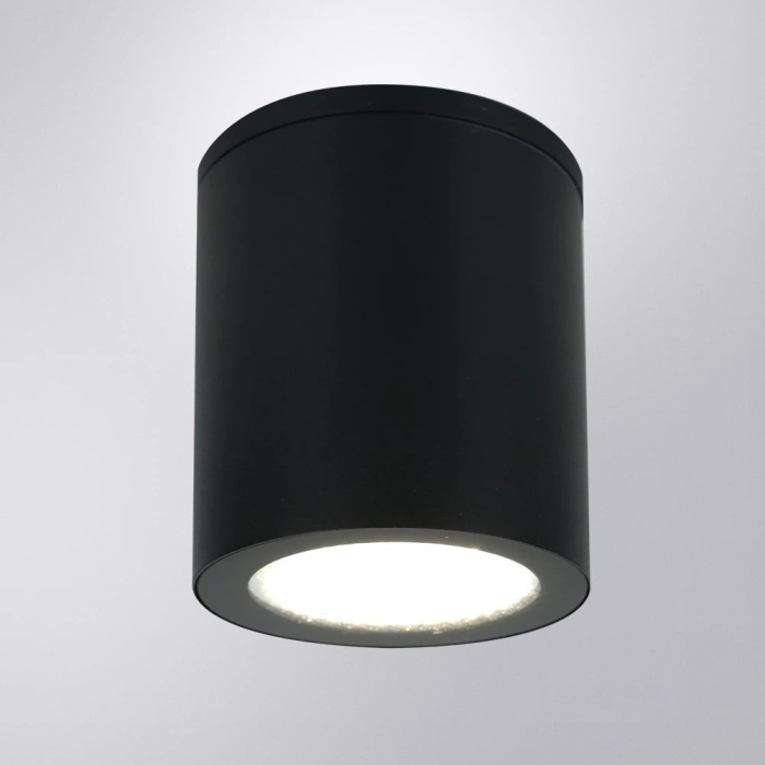 A1313PF-1BK Arte Lamp