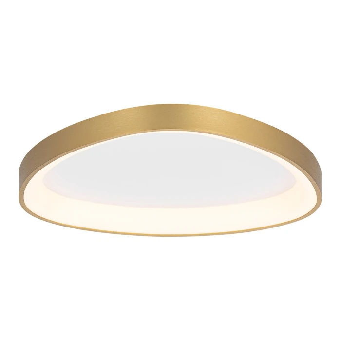 CL756A142 Citilux