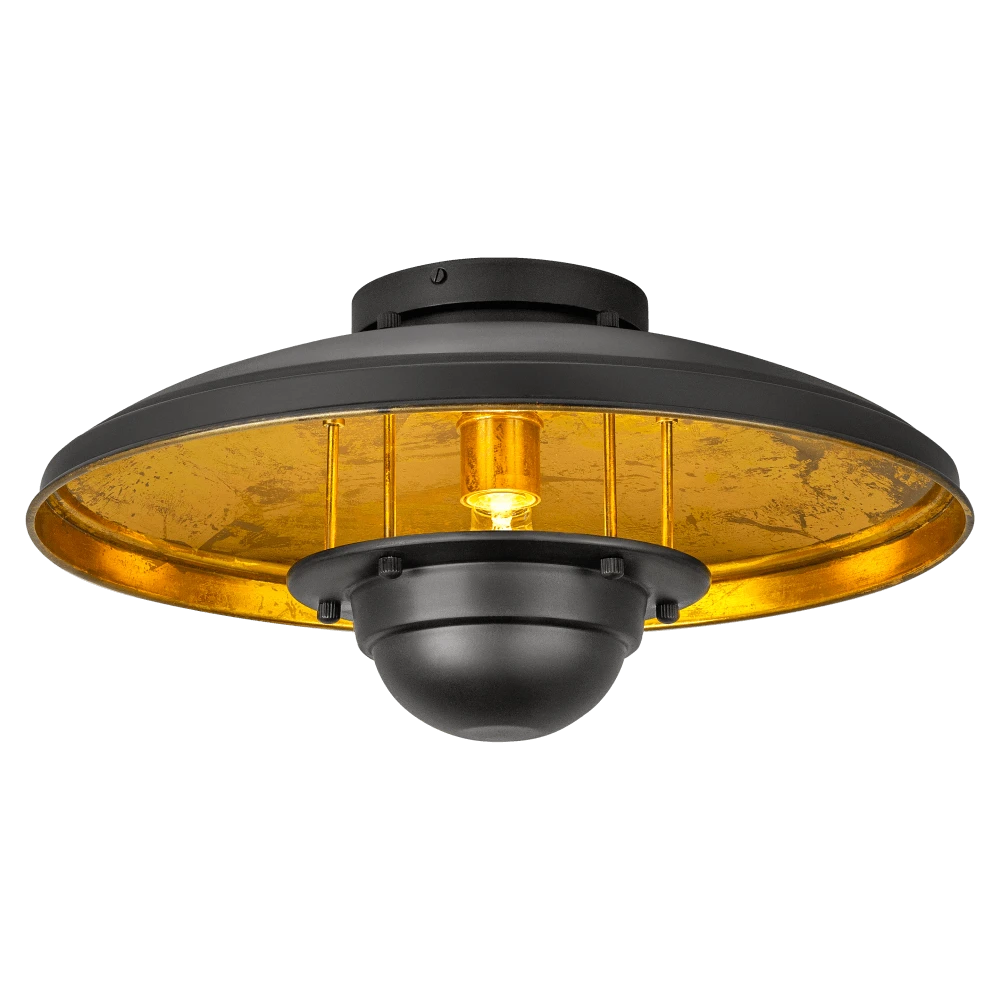 WL-38024 Covali