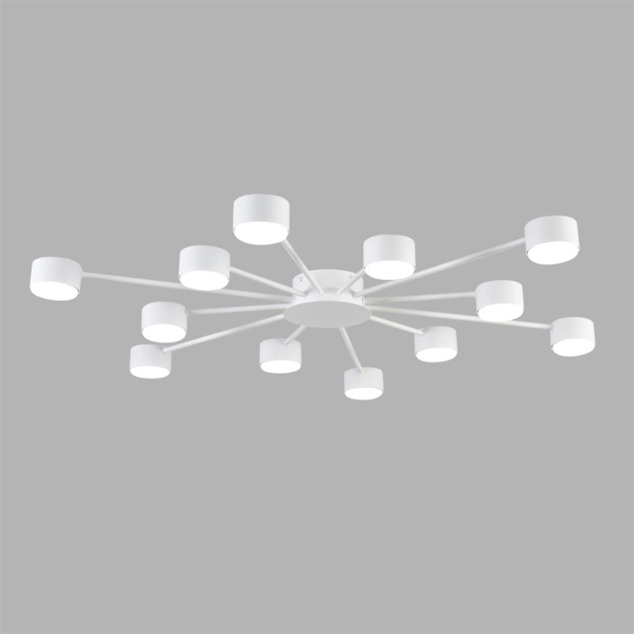 8343/12C Lumion