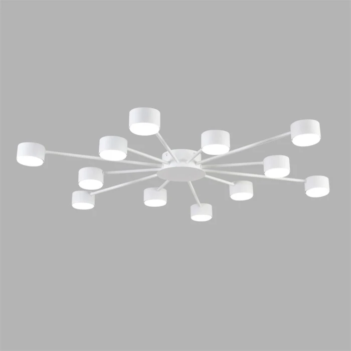 8343/12C Lumion