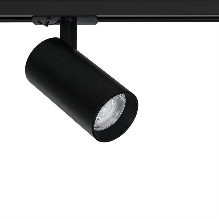 A1947PL-1BK Arte Lamp