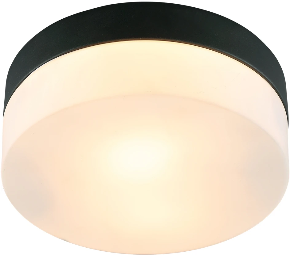 A6047PL-1BK Arte Lamp
