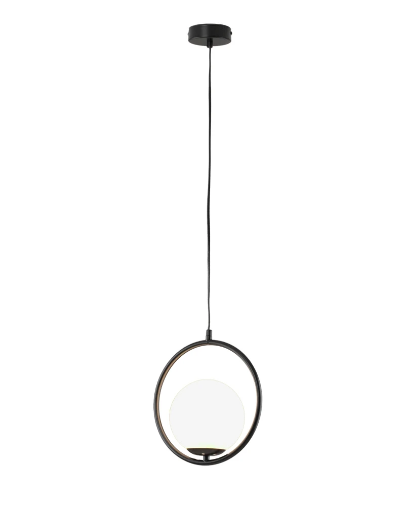 V11578-1P Moderli