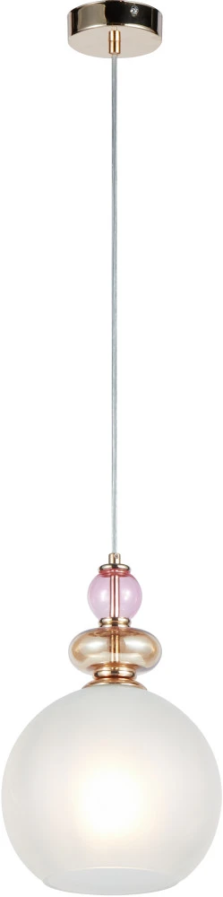 V11401-1P Moderli