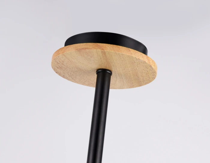 TR80167 Ambrella