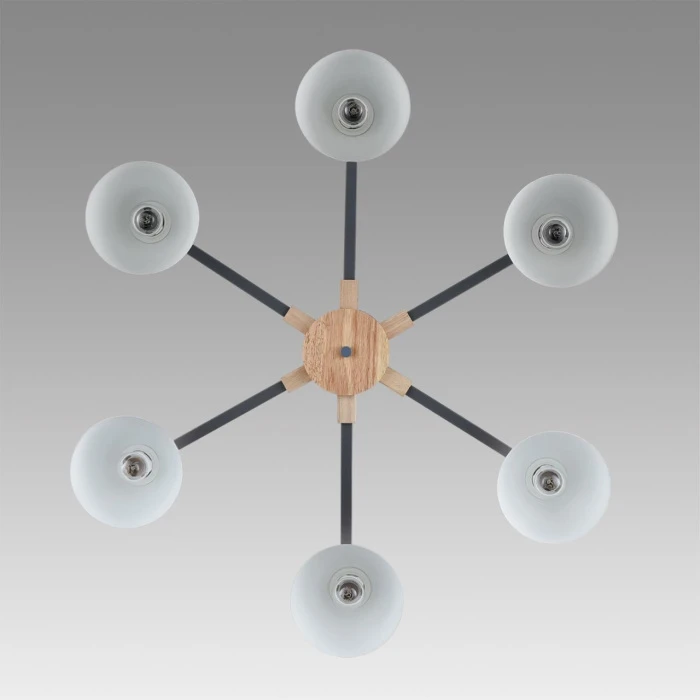 8096/6C Lumion