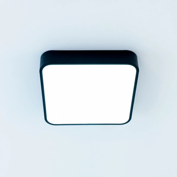 CL724K24V1 Citilux