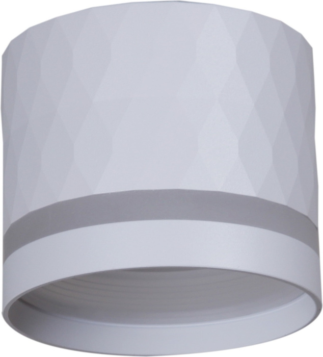 53002-9.5-001LD GX53 WT_