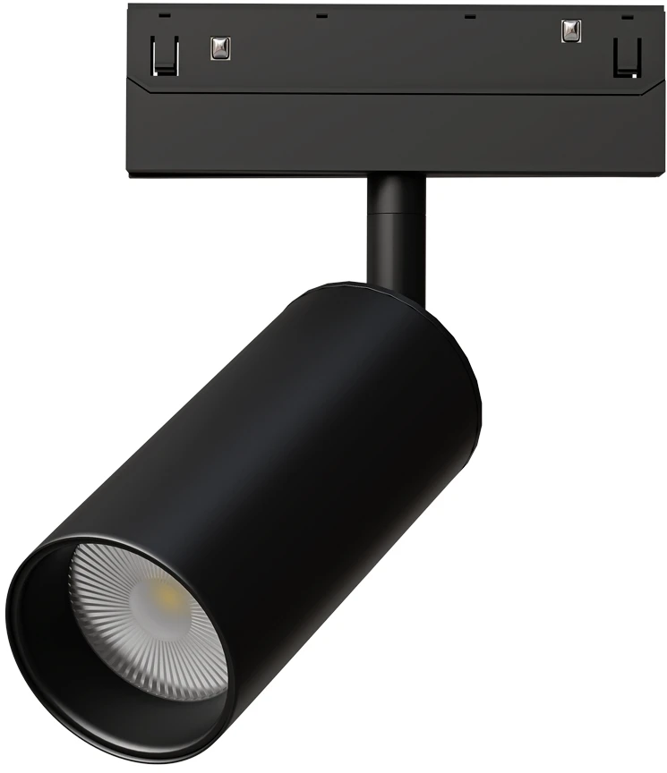 A4681PL-1BK Arte Lamp