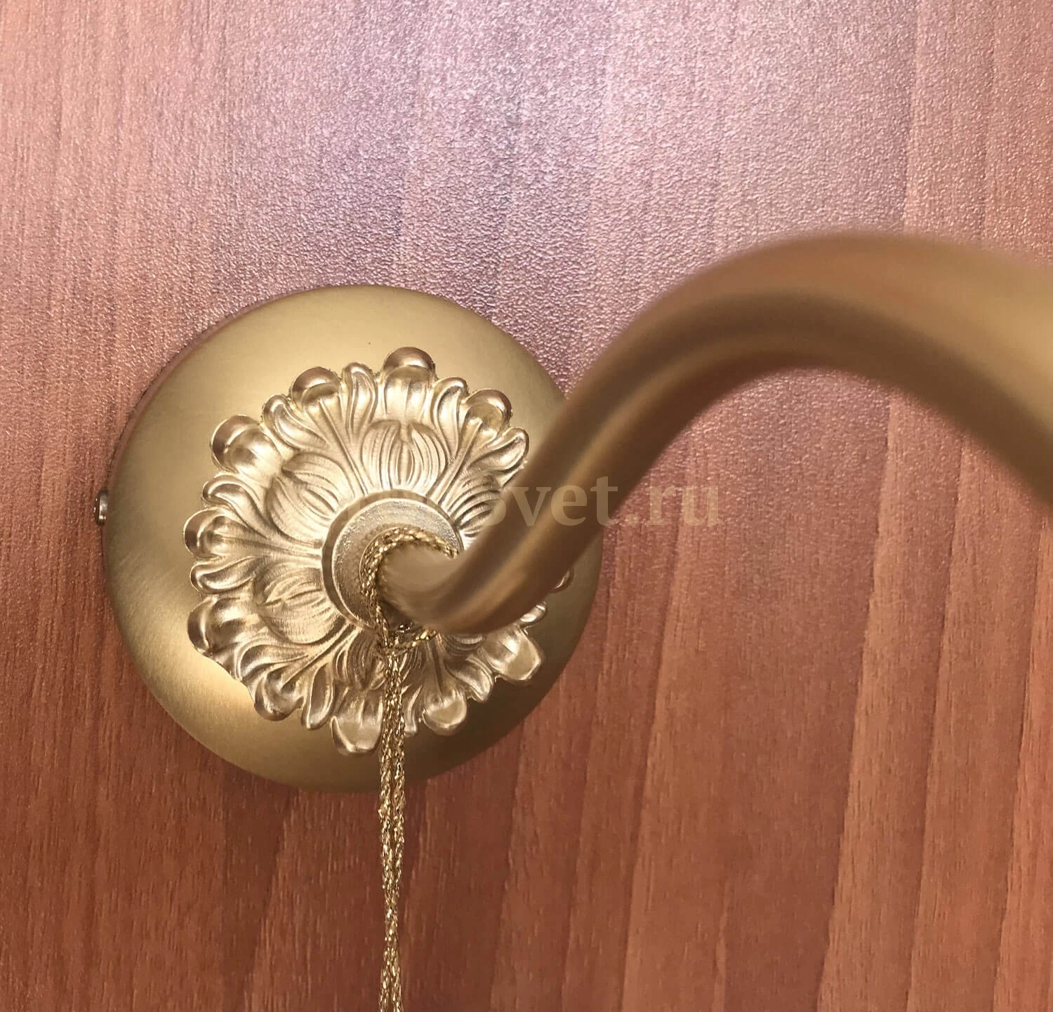 01006 CHAMPAGNE Nervilamp