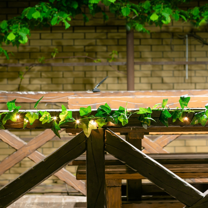 USL-S-135/PT2000 IVY_