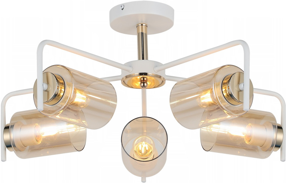 IL8248-5COU-79 WH GD_